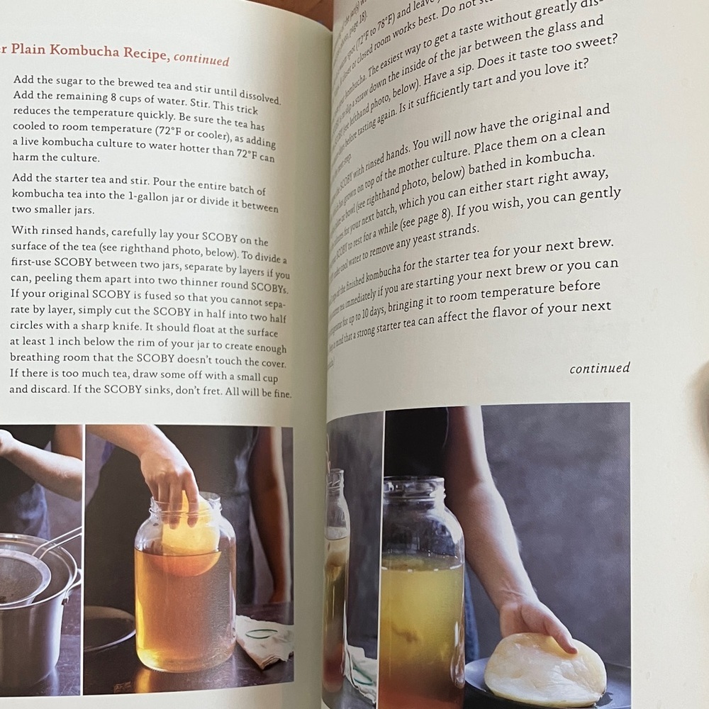 Kombucha Revolution Cookbook by - Stephen Lee & Ken Koopman - Picture 6 of 16